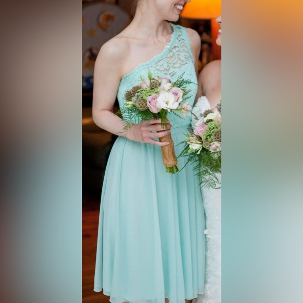 David’s Bridal bridesmaid dress